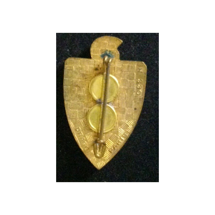 2°RG : 2°RÉGIMENT DU GÉNIE (DRAGO 330) ÉMAIL