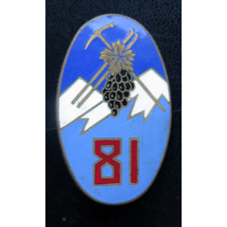 81° RIA : 81° régiment d'infanterie alpine de fabrication Drago Paris en émail ALGERIE