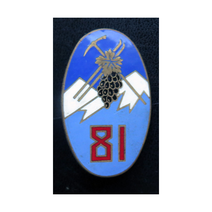 81° RIA : 81° régiment d'infanterie alpine de fabrication Drago Paris en émail ALGERIE