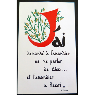 IMAGE PIEUSE : carte J'ai demandé à l'amandier de me parler de Dieu et l'amandier a fleuri ...