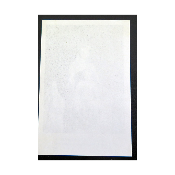 IMAGE PIEUSE : image de la statue de Notre Dame La Blanche Cathédrale de Bourges 8 x 12 cm