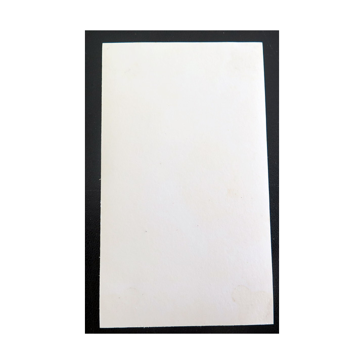 IMAGE PIEUSE : image de la Vierge  7 x 12 cm