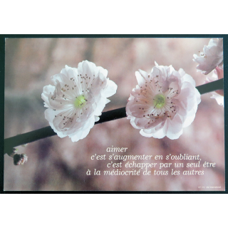 IMAGE PIEUSE : Carte Aimer c'est s'augmenter en s'oubliant