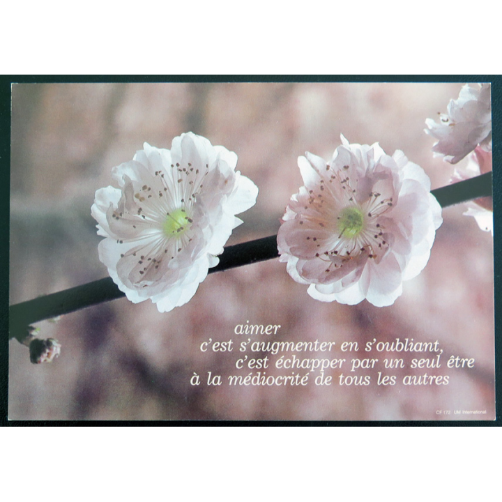 IMAGE PIEUSE : Carte Aimer c'est s'augmenter en s'oubliant