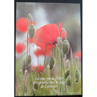IMAGE PIEUSE : Carte postale la Joie est la fleur qui pousse sur la tige de l'Amour