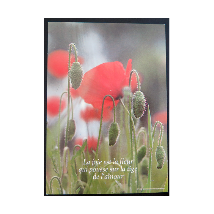 IMAGE PIEUSE : Carte postale la Joie est la fleur qui pousse sur la tige de l'Amour