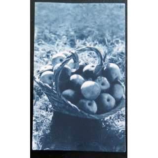 IMAGE PIEUSE : image de la JOC 6,5 x 10,5 cm