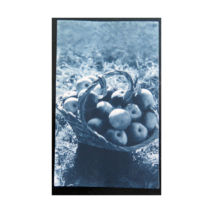 IMAGE PIEUSE : image de la JOC 6,5 x 10,5 cm