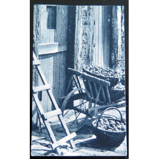 IMAGE PIEUSE : image de la JOC 6,5 x 10,5 cm