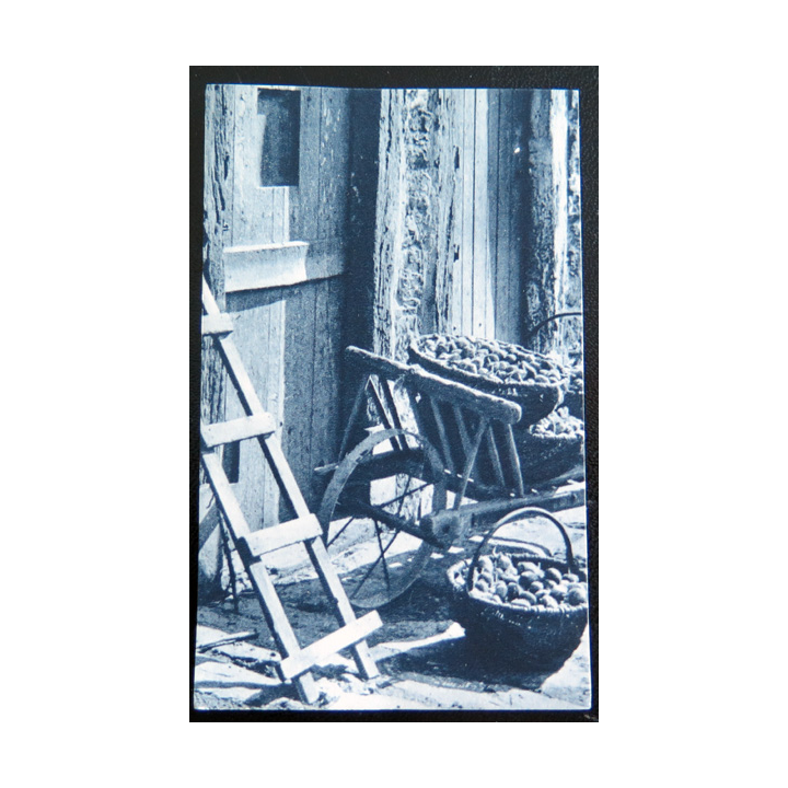 IMAGE PIEUSE : image de la JOC 6,5 x 10,5 cm