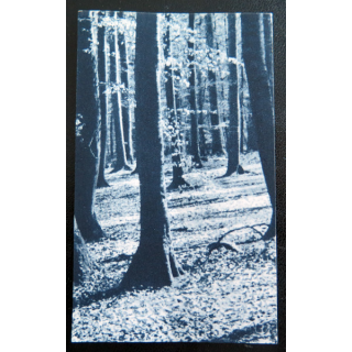 IMAGE PIEUSE : image de la JOC 6,5 x 10,5 cm