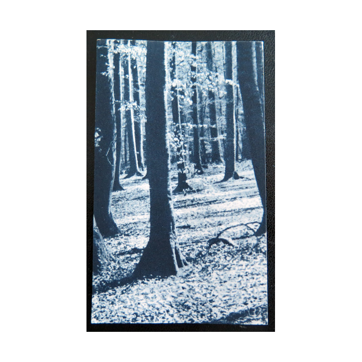 IMAGE PIEUSE : image de la JOC 6,5 x 10,5 cm