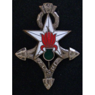 2°CSPL : 2°COMPAGNIE SAHARIENNE PORTÉE DE LA LÉGION (D ROM)