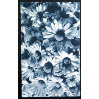 IMAGE PIEUSE : image de la JOC 6,5 x 10,5 cm