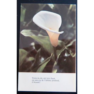 IMAGE PIEUSE : Carte Viens-tu du ciel très haut ... 8,5 x 13,2 cm