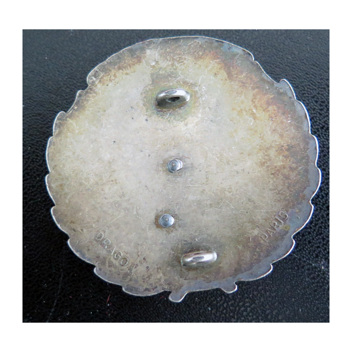 511° / 516° RT : insigne de la FINUL 420° DSL 9° Mandat 511° / 516° Régiment du train Drago Paris