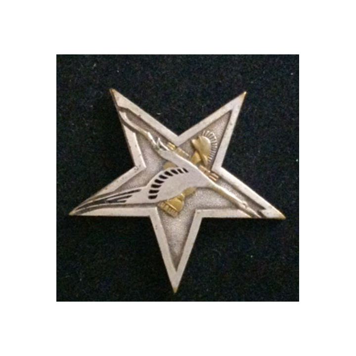 33°BG : 33°BATAILLON DU GÉNIE (DOM 331) ATTACHE COUPÉE