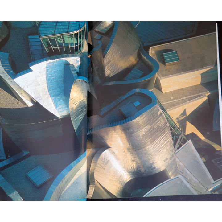 La terre vue du ciel Par Yann Arthus Bertrand éditions de la Martinière