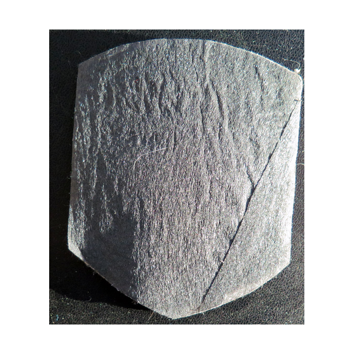 RUSSIE : Insigne tissu des troupes de l'intérieur de la Fédération de Russie