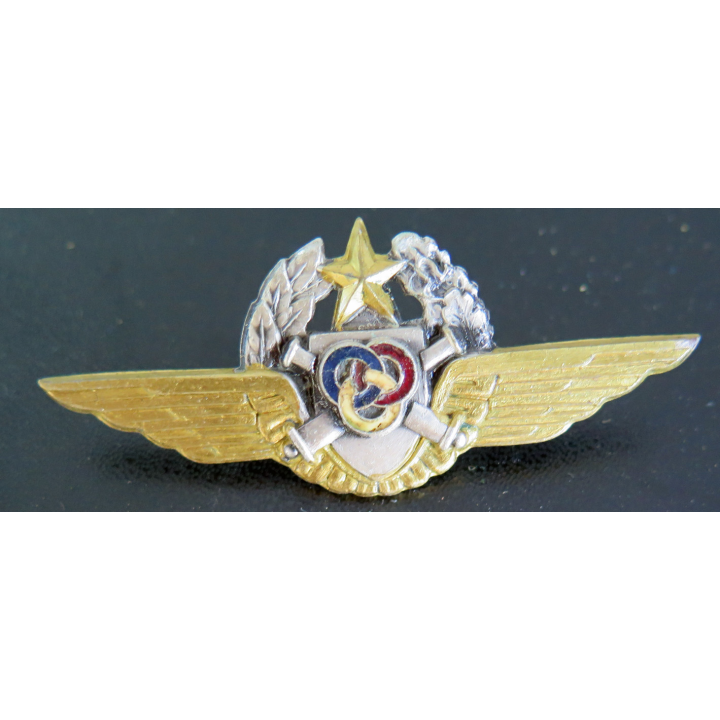 ALAT : brevet d'observateur pilote hélicoptère qualifié Moniteur Drago Paris