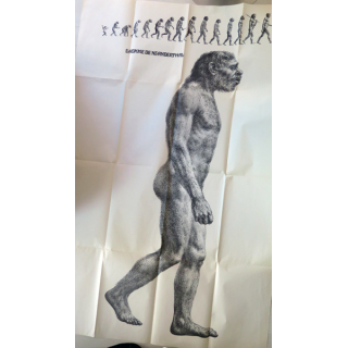 Poster de Time Life l'Homme de Néanderthal 157 x 103 cm