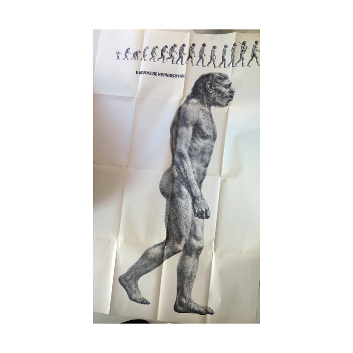 Poster de Time Life l'Homme de Néanderthal 157 x 103 cm