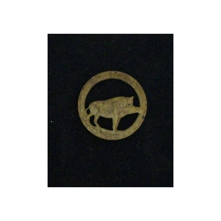 91° RI : 91° RÉGIMENT D'INFANTERIE RONDACHE LAITON DORÉ 22 mm