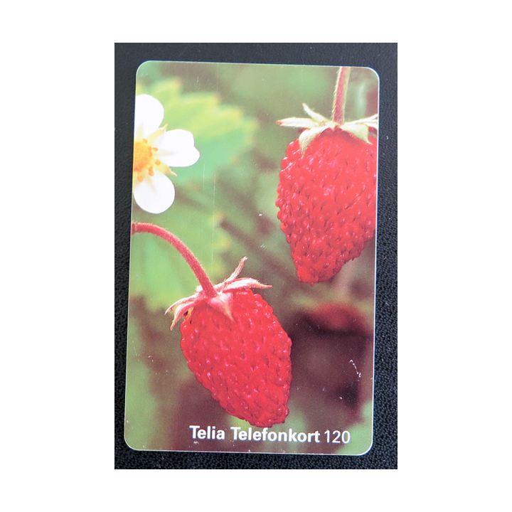 Carte téléphonique Télécarte Danoise Telia Telefonkort 120 unités