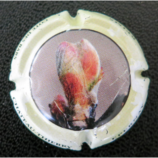 Capsule Muselet de champagne CO.GE.VI n° 14 contour vert Jaune pâle