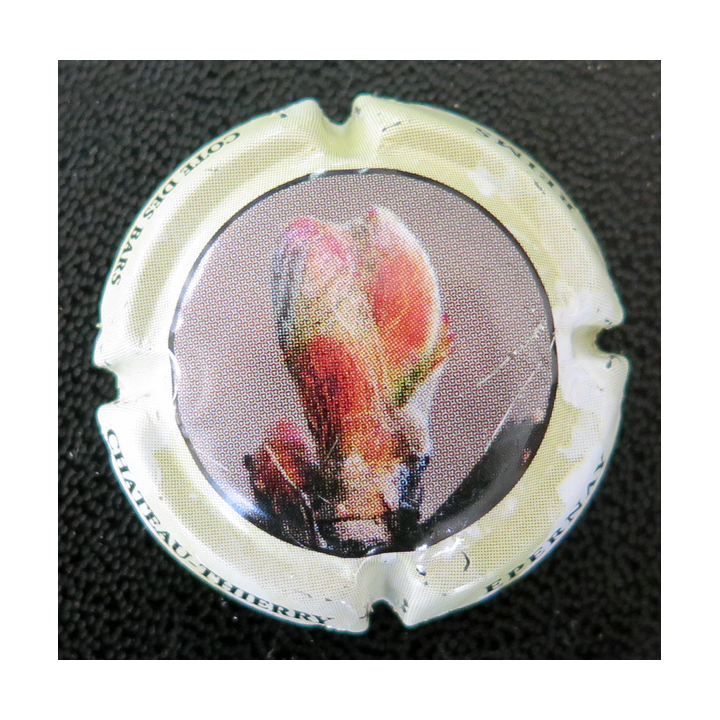 Capsule Muselet de champagne CO.GE.VI n° 14 contour vert Jaune pâle