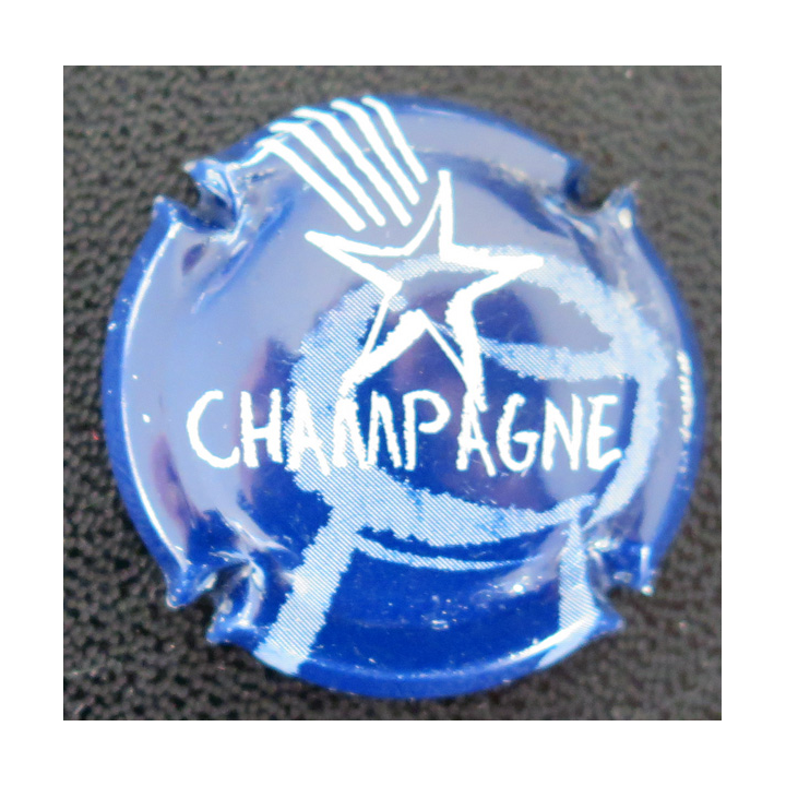 Capsule Muselet de bouteille de champagne GENERIQUE n° 737 Bleu-nuit et blanc