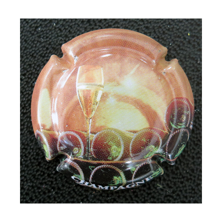 Capsule Muselet de bouteille de champagne GENERIQUE n° 660 Polychrome