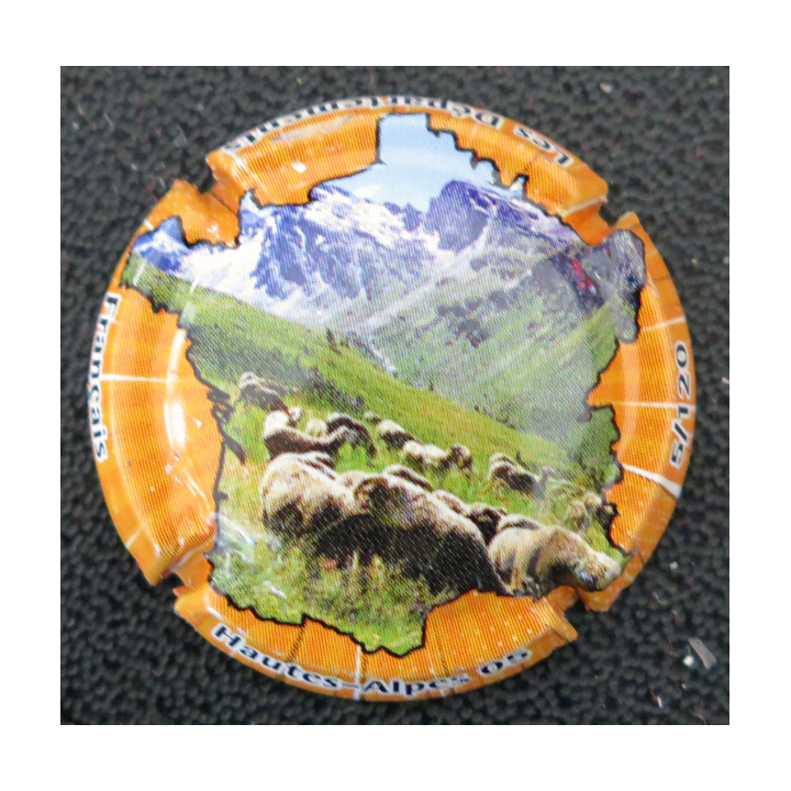 Capsule Muselet de bouteille de champagne GENERIQUE n° 1176d Hautes-Alpes 05