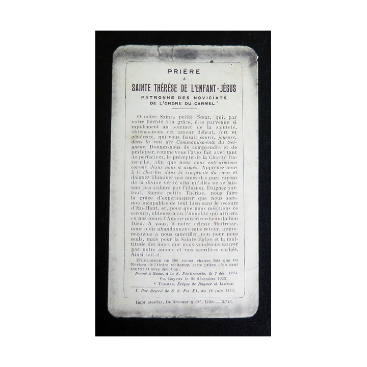 IMAGE PIEUSE : Prière à Sainte Thérèse de l'Enfant Jésus 6,6 x 12,2 cm