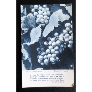 IMAGE PIEUSE : Je suis la vigne, vous les sarments... 7,6 x 12,4 cm