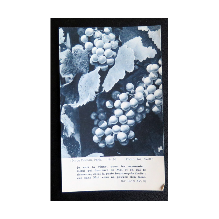 IMAGE PIEUSE : Je suis la vigne, vous les sarments... 7,6 x 12,4 cm