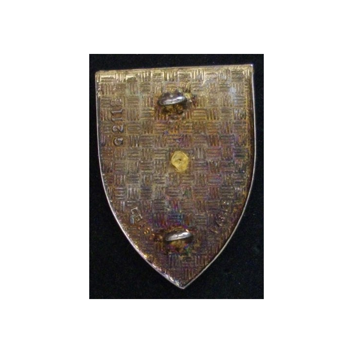 1°RI : 1°RÉGIMENT D'INFANTERIE (D 2118)