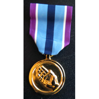 USA : médaille de The Humanitarian Service Medal métal brillant