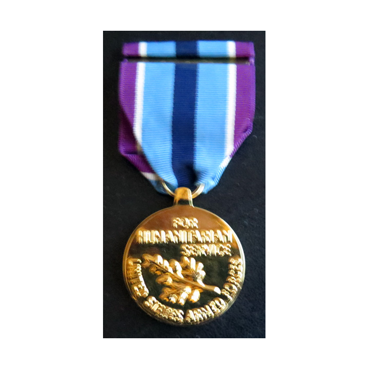 USA : médaille de The Humanitarian Service Medal métal brillant