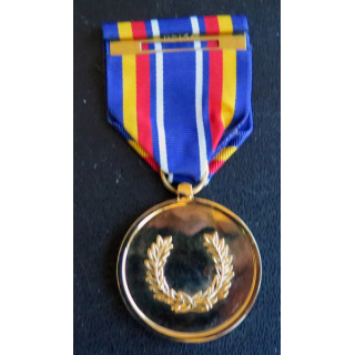 USA : Médaille de la War on terrorism service medal en métal doré