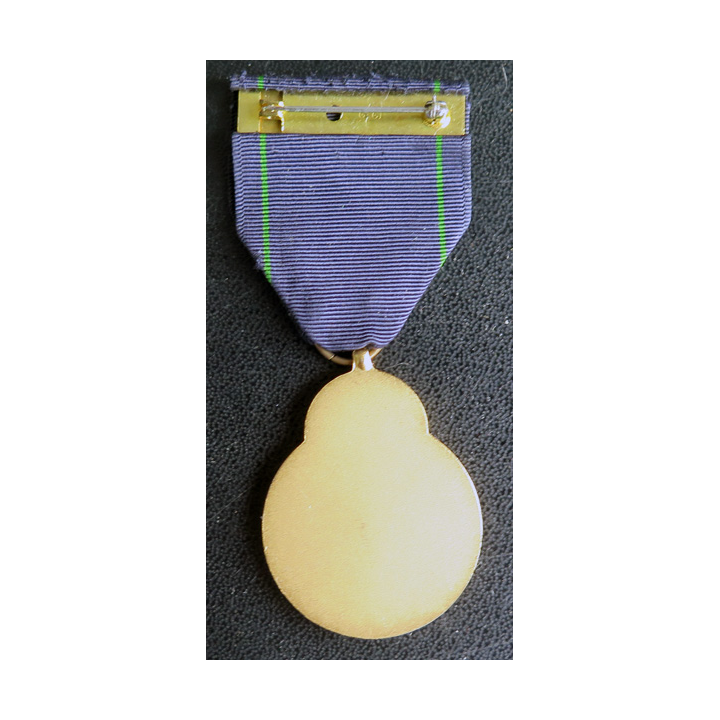 USA : Médaille de l'US Navy Expert pistol shot