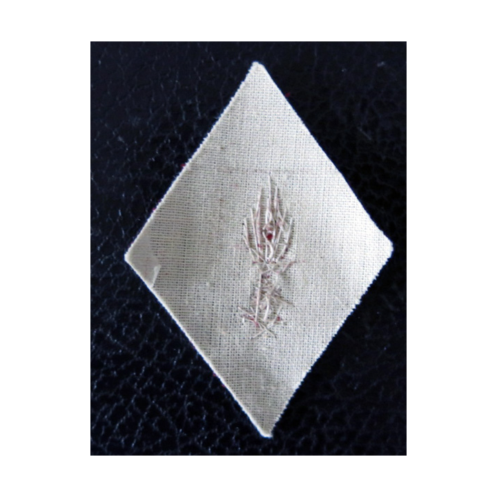 LOSANGE DE BRAS MODÈLE 45 : Officier d'administration du Service de Santé en canetille or