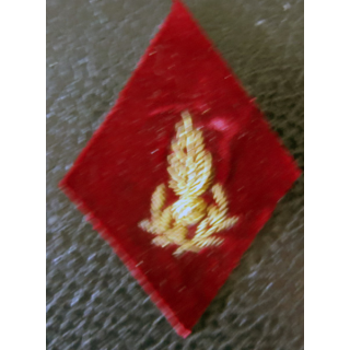 LOSANGE DE BRAS MODÈLE 45 : Officier d'administration du Service de Santé des armées en canetille or