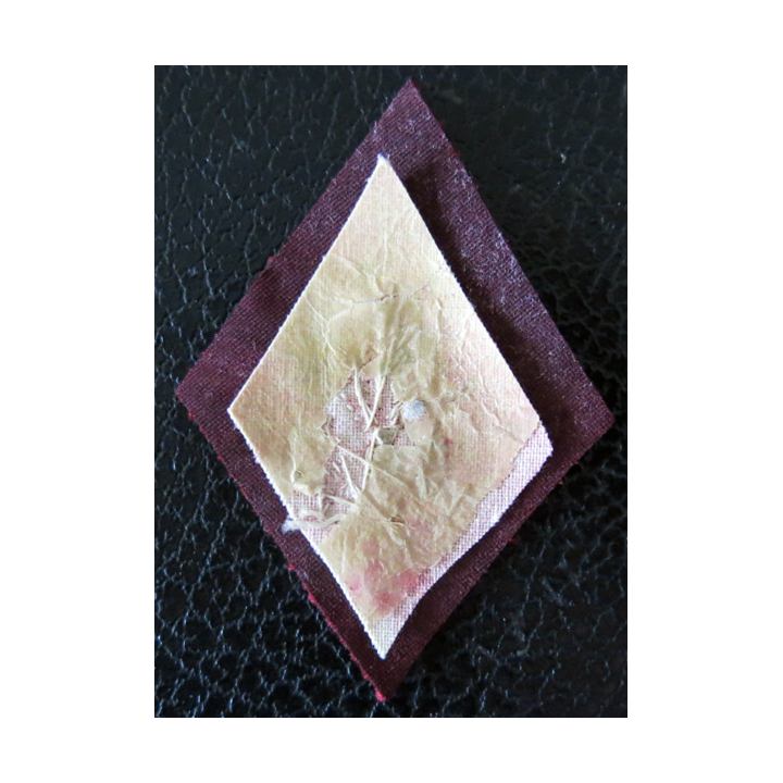 LOSANGE DE BRAS MODÈLE 45 : Officier d'administration du Service de Santé des armées en canetille or