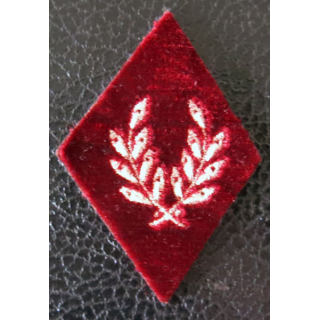 LOSANGE DE BRAS MODÈLE 45 : Médecin vétérinaire du Service de santé militaire fond velours fil or, dos en toile.