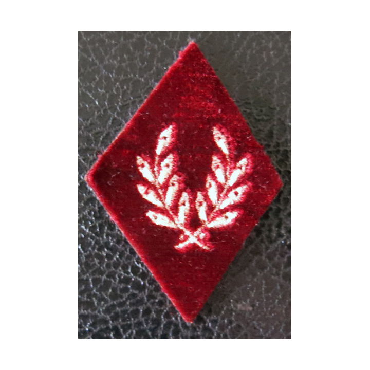 LOSANGE DE BRAS MODÈLE 45 : Médecin vétérinaire du Service de santé militaire fond velours fil or, dos en toile.