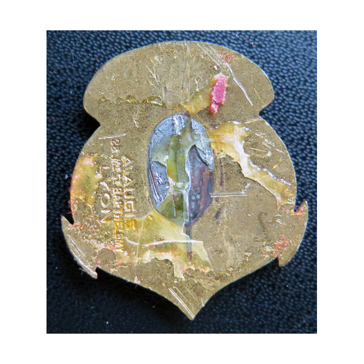 BAOBAB : insigne du remorqueur Baobab AUGIS en émail sans attache