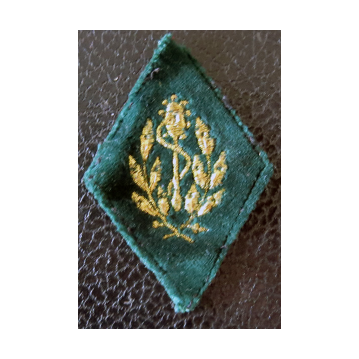 LOSANGE DE BRAS MODÈLE 45 : Officier ou sous officier Pharmacien du Service de Santé fil laminette or, fond velour période AFN