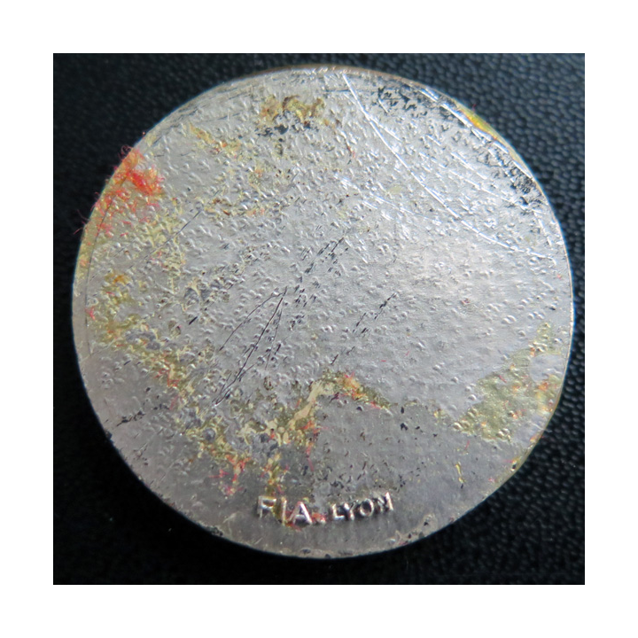 NARVIK : rondache argentée du dragueur océanique Narvik FIA sans attache