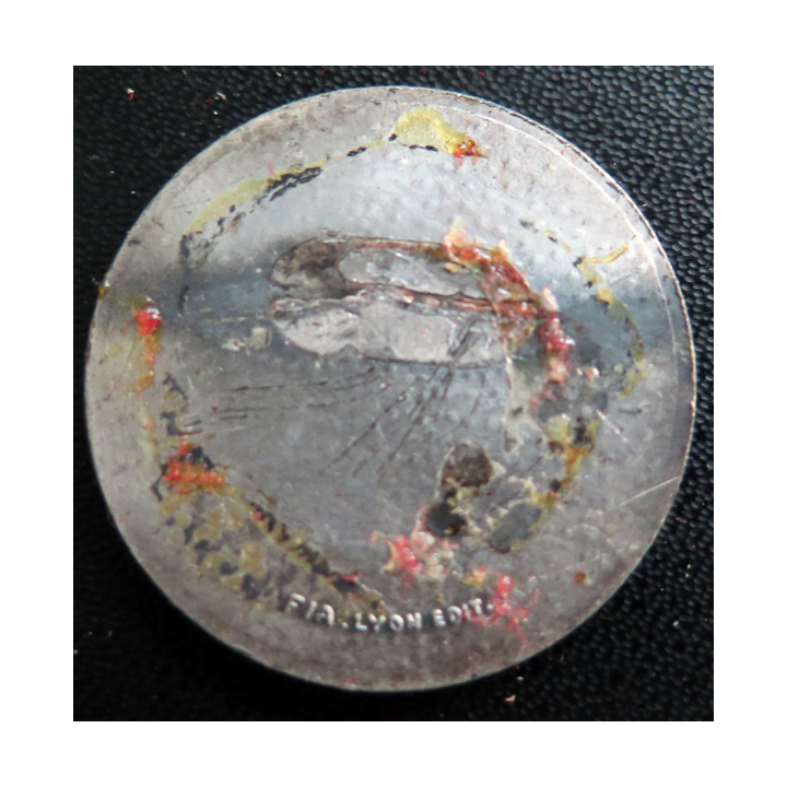 DURANCE : rondache argentée Durance FIA sans attache